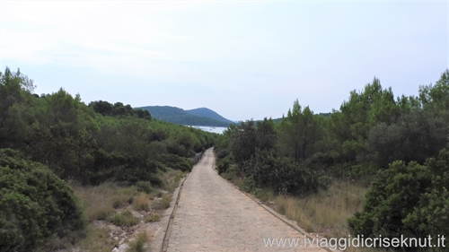 pedonale_telascica